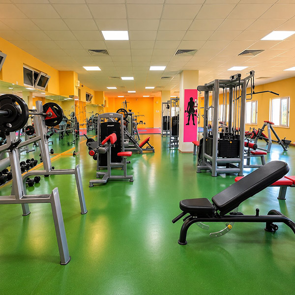 Beden Eğitimi ve Spor Yüksekokulu